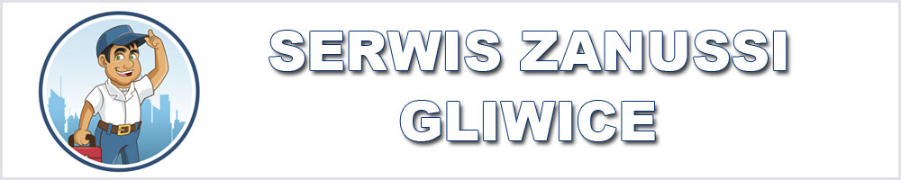 Serwis Zanussi Gliwice poleca swoje pogwarancyjne usługi naprawcze